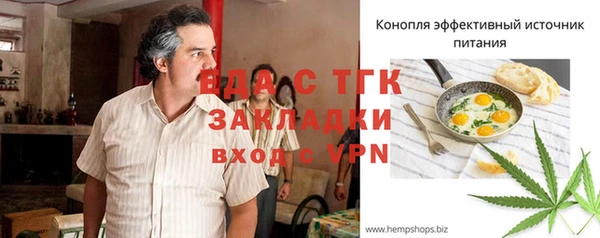 шишки Медвежьегорск