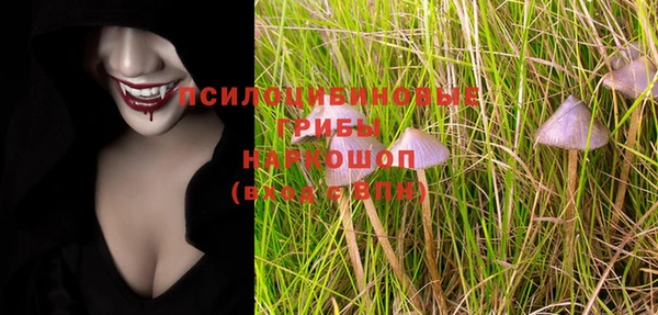шишки Медвежьегорск