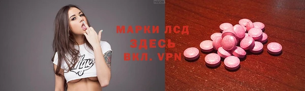 шишки Медвежьегорск