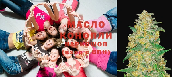 шишки Медвежьегорск