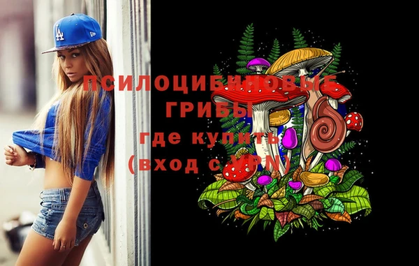 шишки Медвежьегорск