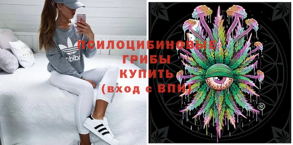 apvp Мегион