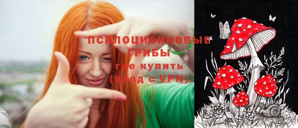 шишки Медвежьегорск