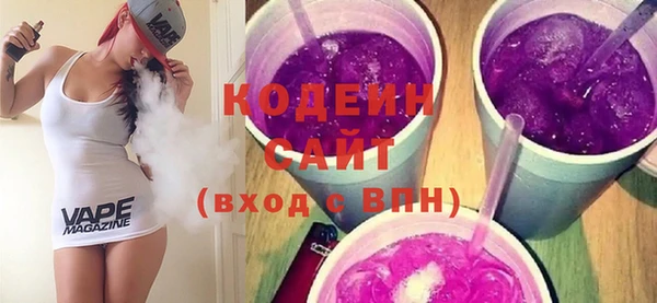 шишки Медвежьегорск