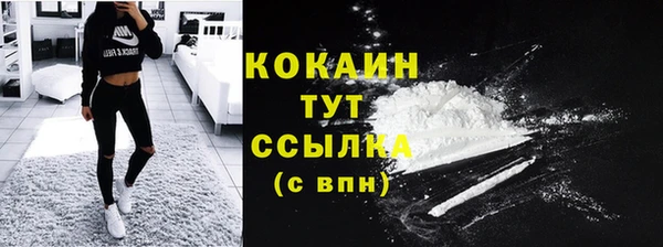 шишки Медвежьегорск